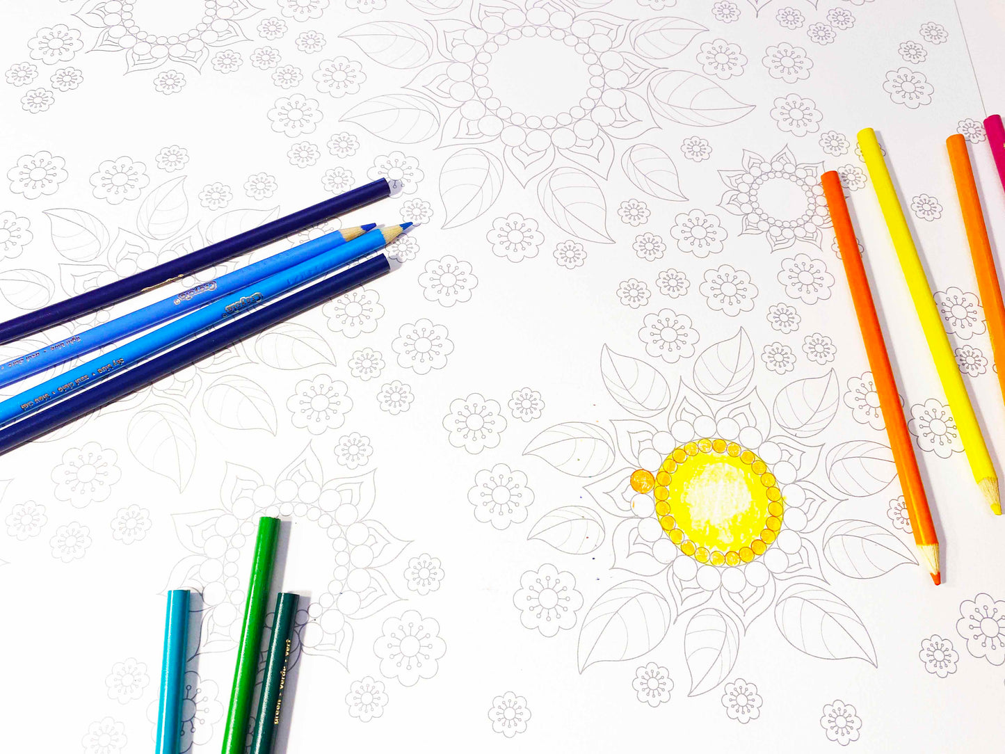 Flower pattern poster size A1 large format colouring sheet for pencils