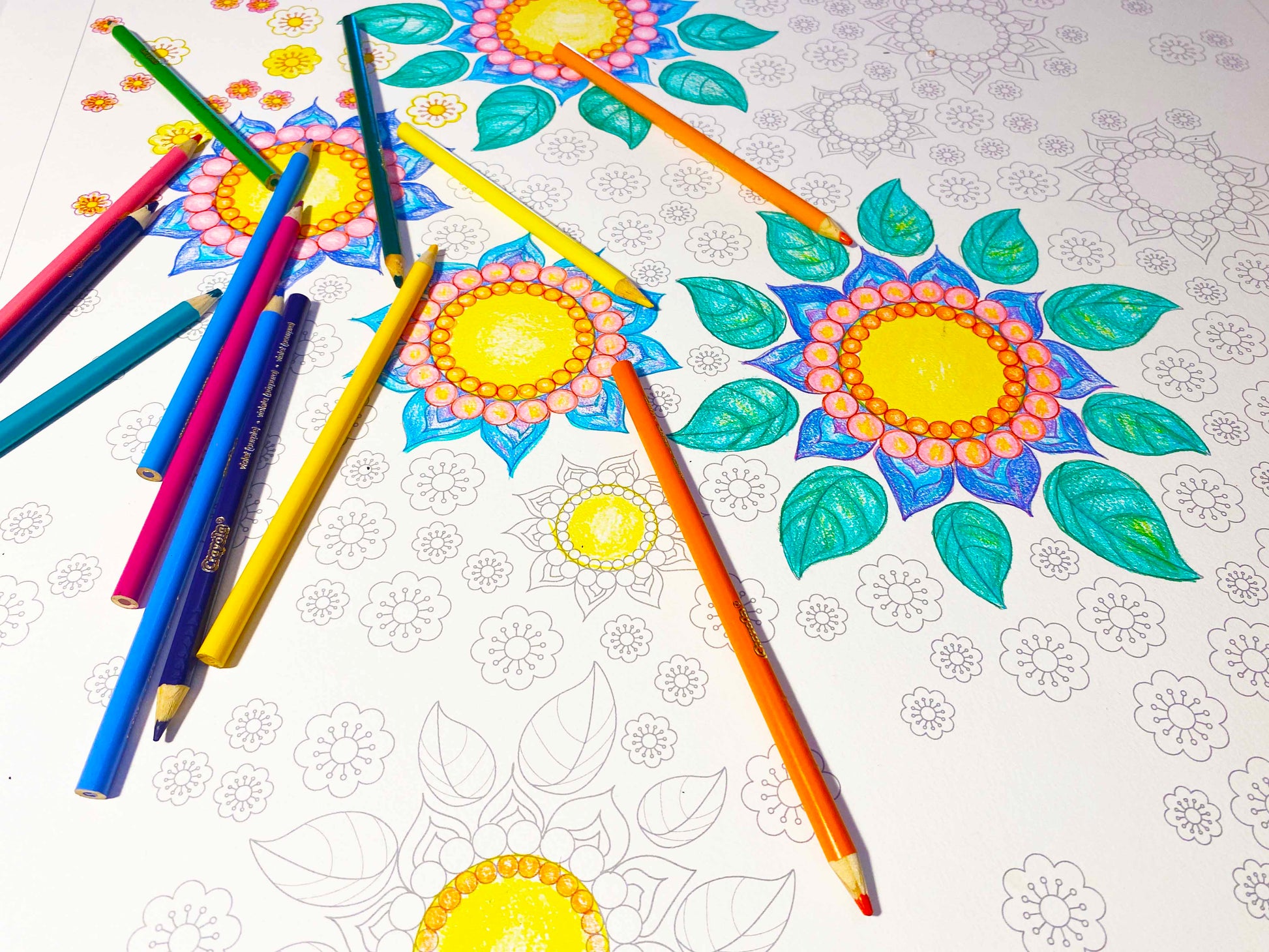 Flower pattern poster size A1 large format colouring sheet for pencils