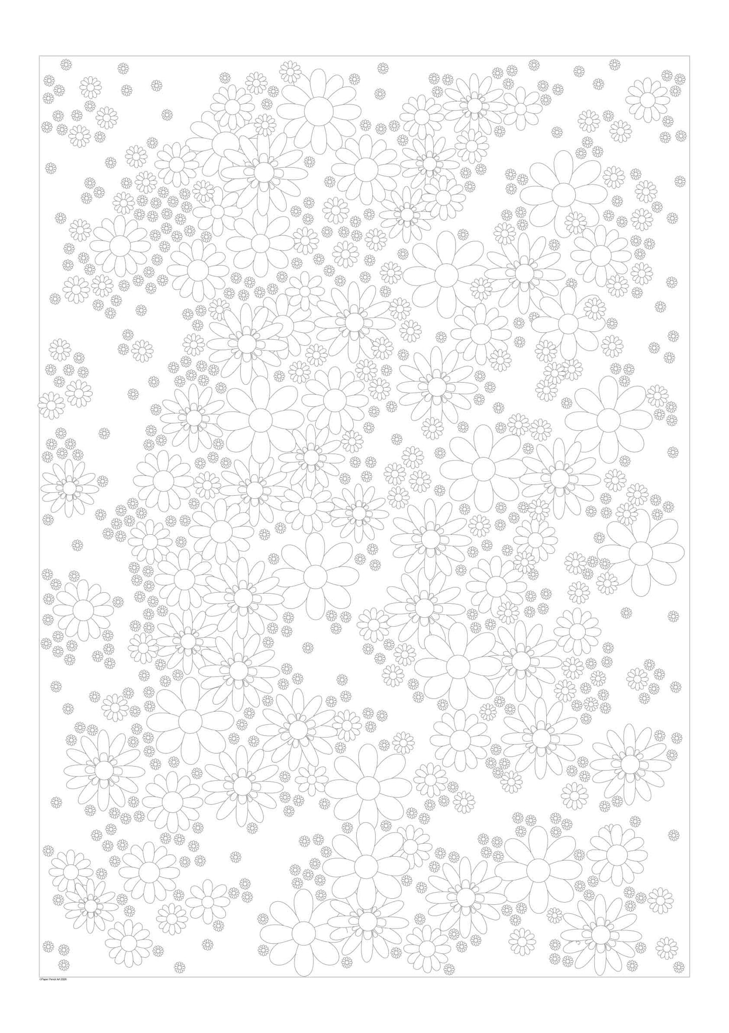 Flower pattern poster size A1 large format colouring sheet for pencils