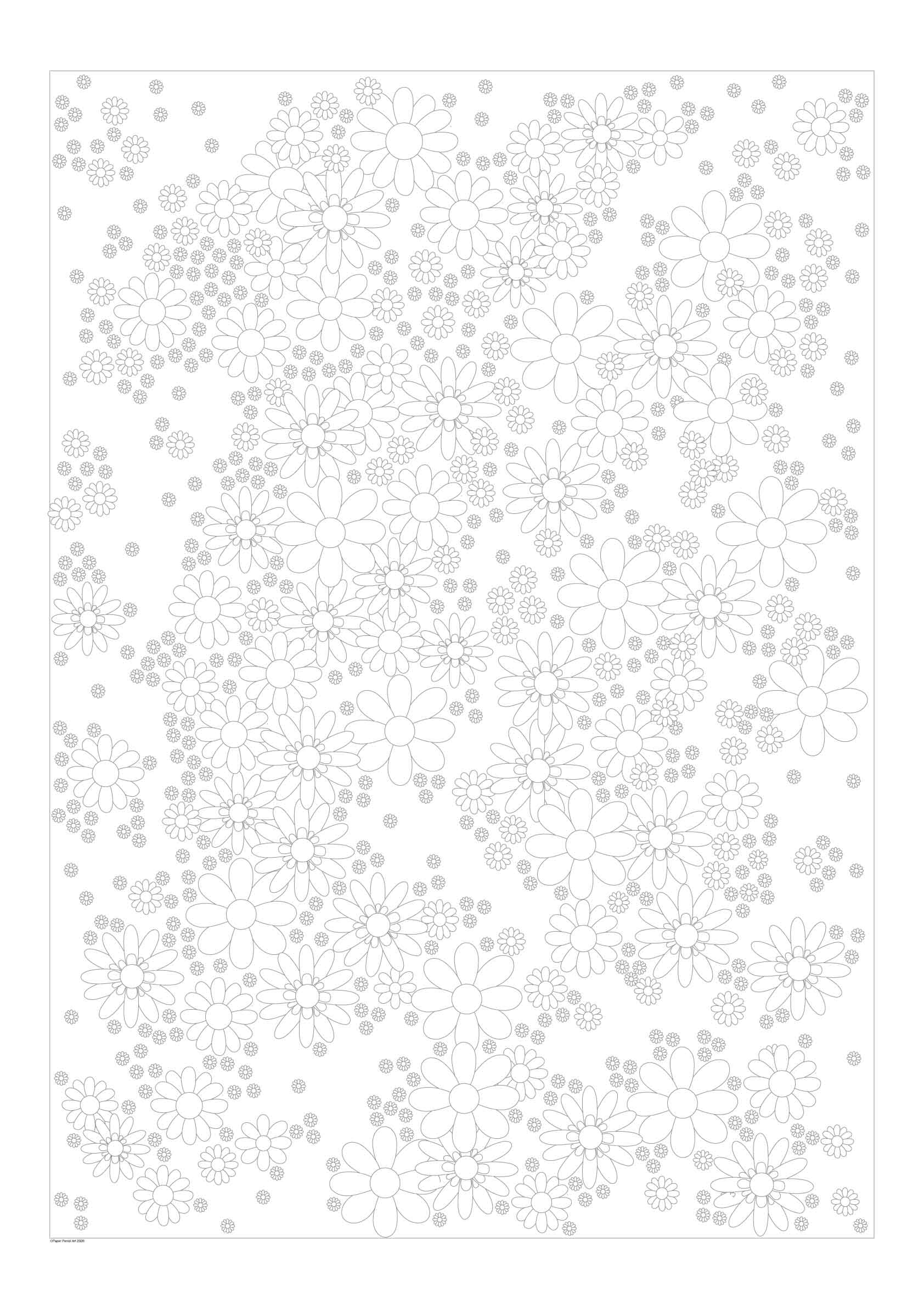 flower colouring sheet large format poster size watercolour paper