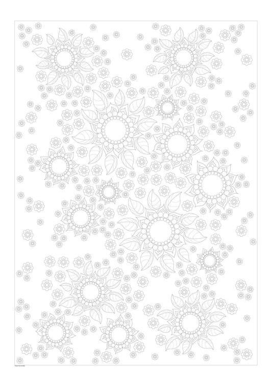 flower colouring sheet large format poster size watercolour paper